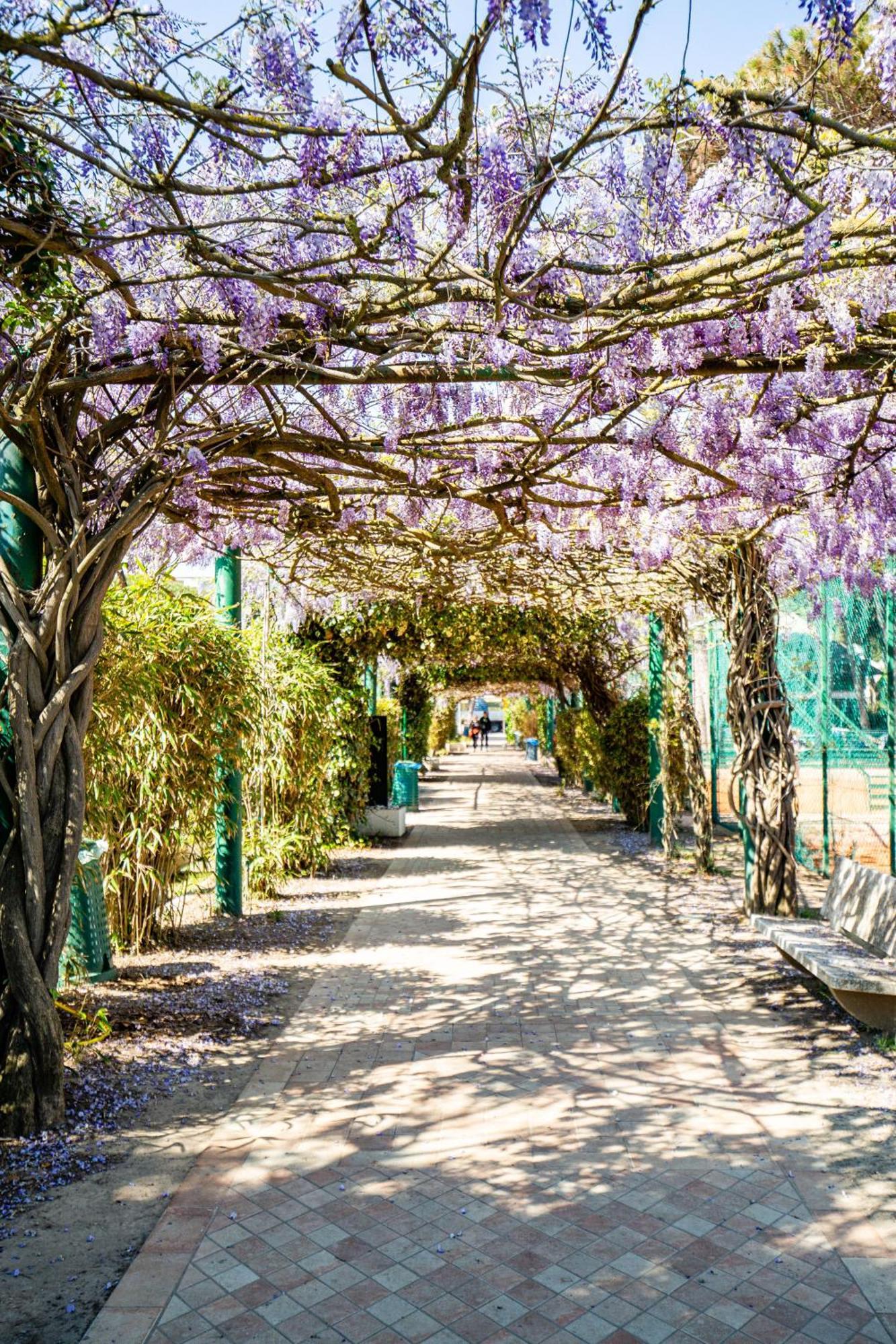 Marepineta Resort ミラノ・マリッティマ エクステリア 写真
